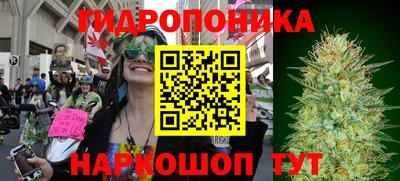 jwh Моздок
