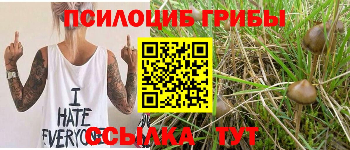 Галлюциногенные грибы Psilocybine cubensis  Туймазы 