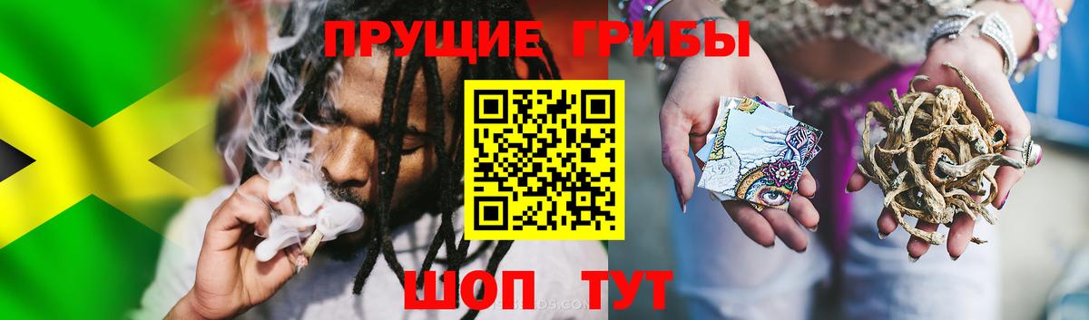 Псилоцибиновые грибы Psilocybine cubensis  Псилоцибиновые грибы мицелий  Вход с VPN  Туймазы 
